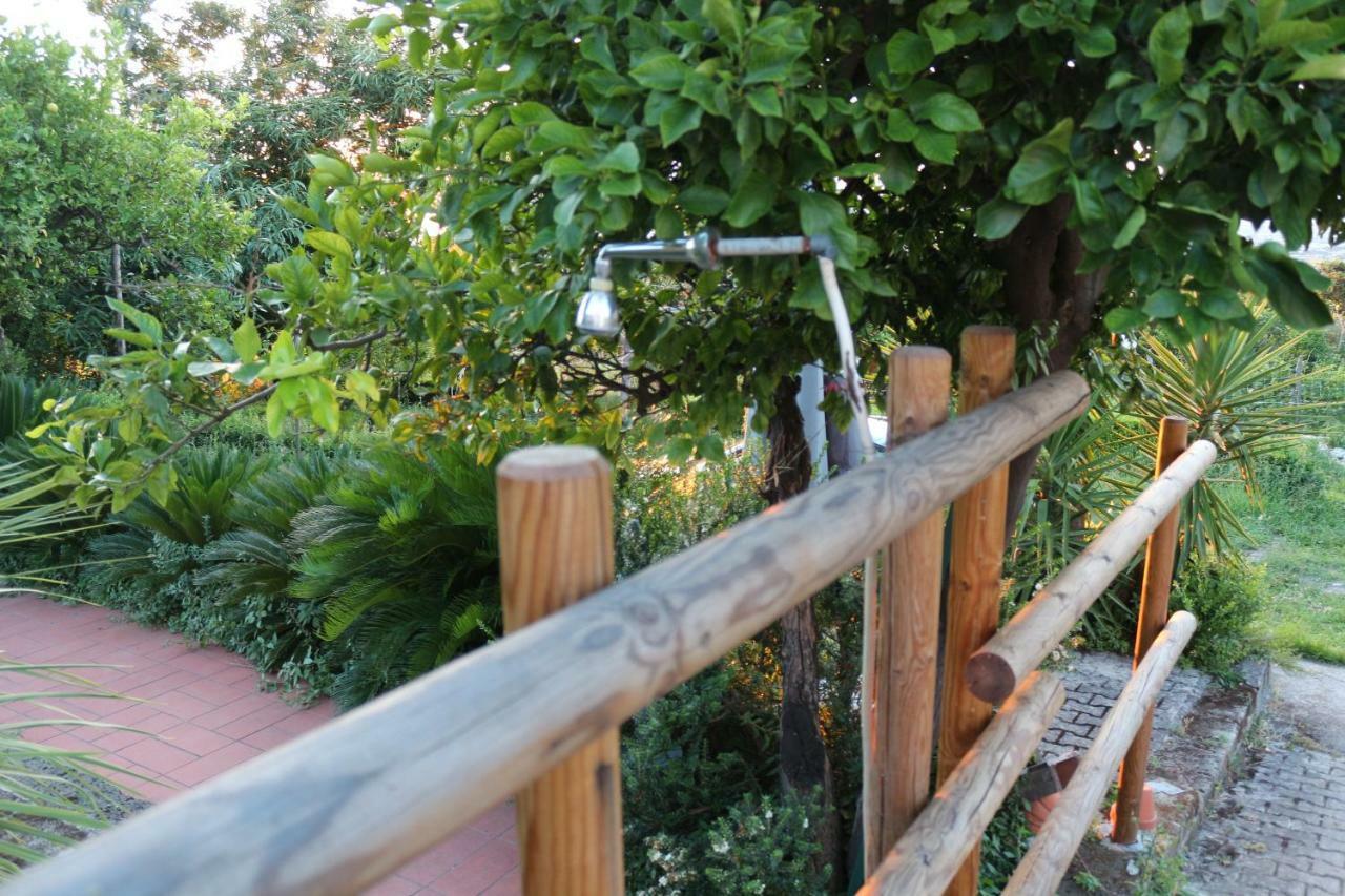 Desiderio D'Ammore Villa Corbara  ภายนอก รูปภาพ
