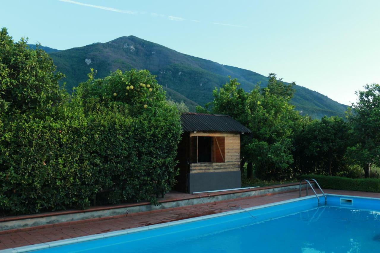 Desiderio D'Ammore Villa Corbara  ภายนอก รูปภาพ