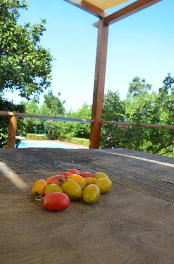 Desiderio D'Ammore Villa Corbara  ภายนอก รูปภาพ
