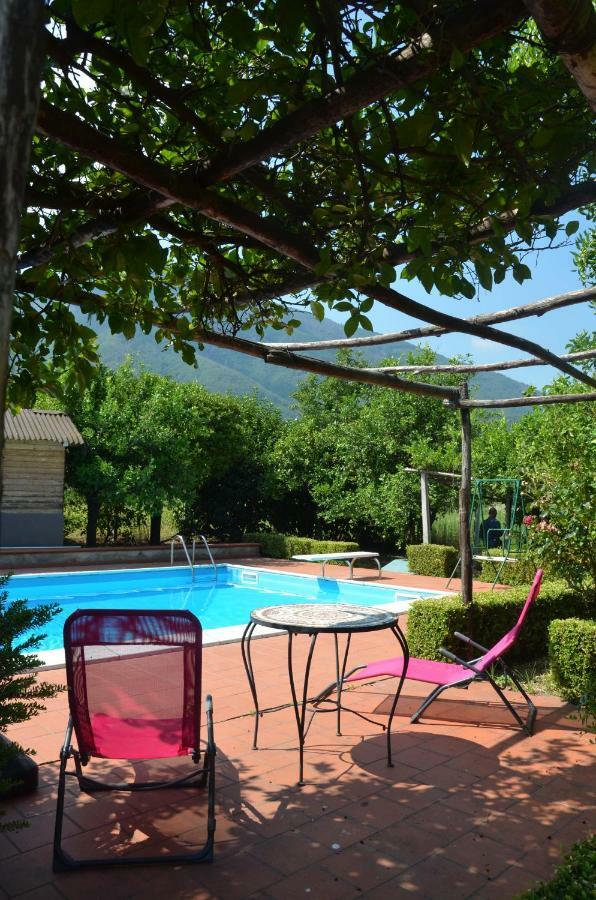 Desiderio D'Ammore Villa Corbara  ภายนอก รูปภาพ
