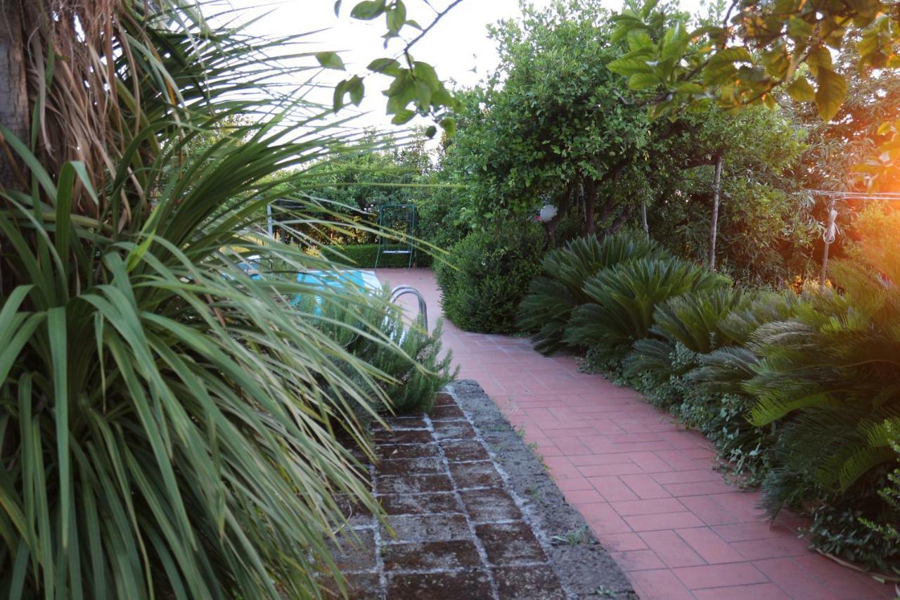 Desiderio D'Ammore Villa Corbara  ภายนอก รูปภาพ