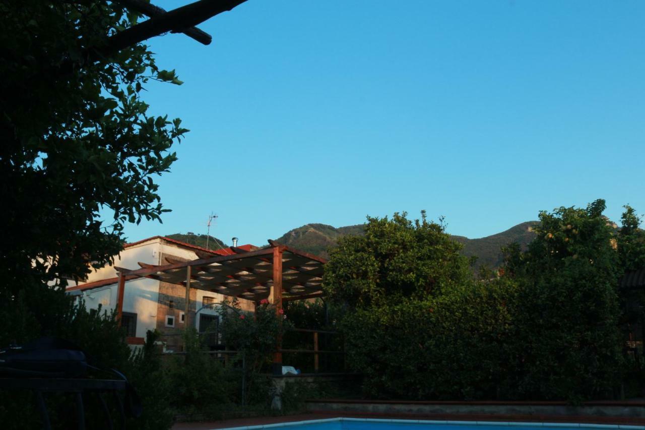 Desiderio D'Ammore Villa Corbara  ภายนอก รูปภาพ